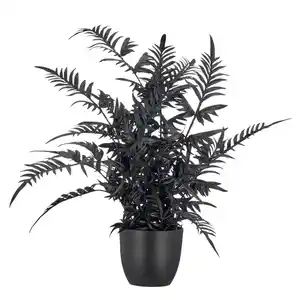 Kunstpflanze Pteris II Schwarz ca. 50cm, Schwarz