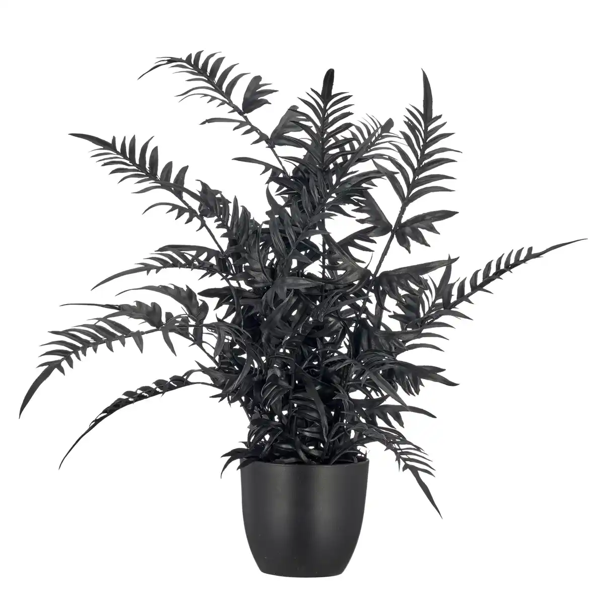Bild 1 von Kunstpflanze Pteris II Schwarz ca. 50cm, Schwarz