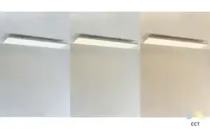 Paul Neuhaus LED-Deckenleuchte weiß