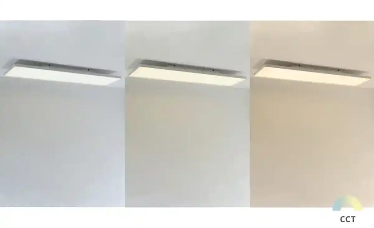 Bild 1 von Paul Neuhaus LED-Deckenleuchte weiß