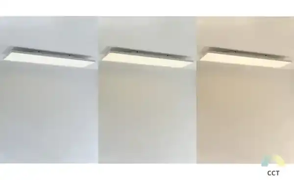 Bild 1 von Paul Neuhaus LED-Deckenleuchte weiß