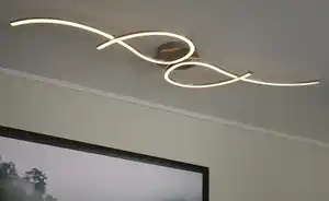 Paul Neuhaus LED-Deckenleuchte, 2-flammig, Nickel-matt, geschwungen