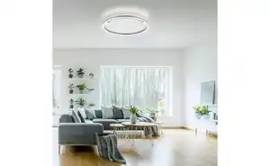 Paul Neuhaus Deckenleuchte