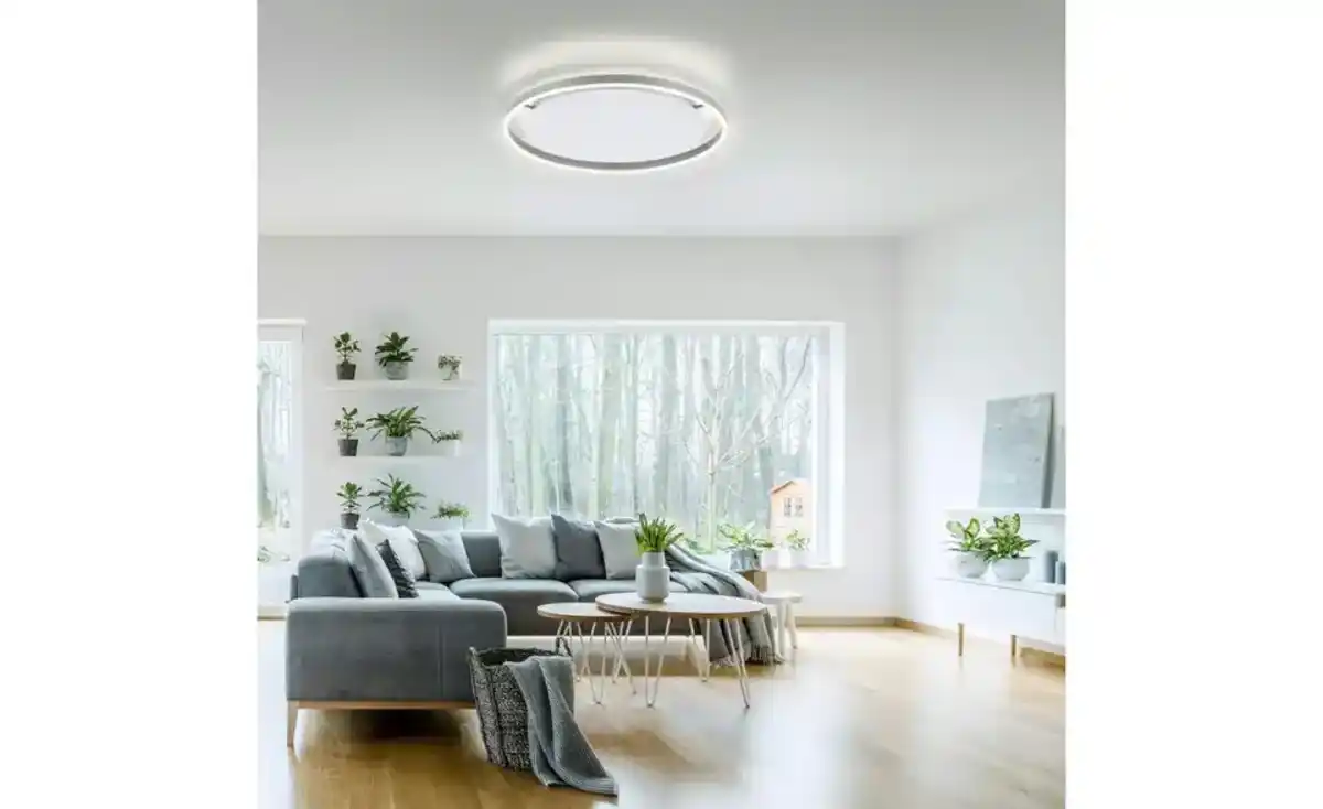 Bild 1 von Paul Neuhaus Deckenleuchte