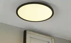 Paul Neuhaus LED-Deckenleuchte, Schwarz, rund