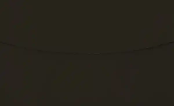 Bild 4 von Stressless Ledersessel Consul