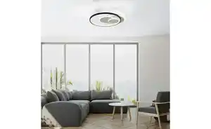 Paul Neuhaus Deckenleuchte