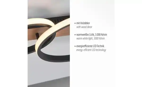 Bild 2 von Paul Neuhaus Deckenleuchte