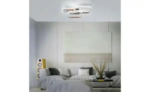 Bild 1 von Paul Neuhaus Deckenleuchte