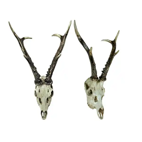 Bild 1 von Geweih, Natur, Kunststoff, Geweih, 23.5x39x24 cm, zum Hängen, Tierfiguren, Dekoration, Skulpturen & Dekoobjekte, Dekotiere