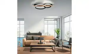 Paul Neuhaus Deckenleuchte