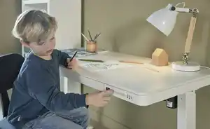 Lifetime Tischlampe Zubehör