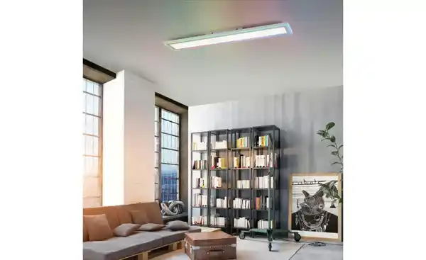 Bild 1 von Paul Neuhaus Deckenleuchte