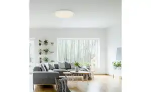 Paul Neuhaus Deckenleuchte