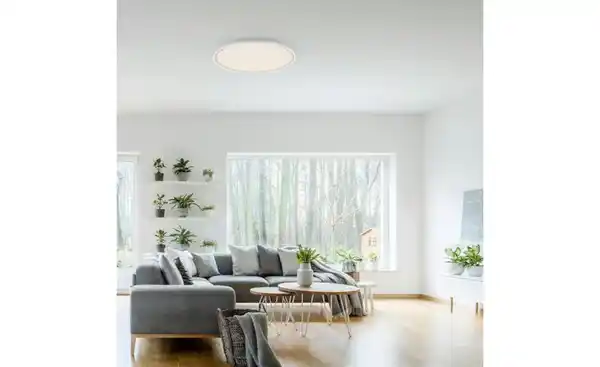 Bild 1 von Paul Neuhaus Deckenleuchte