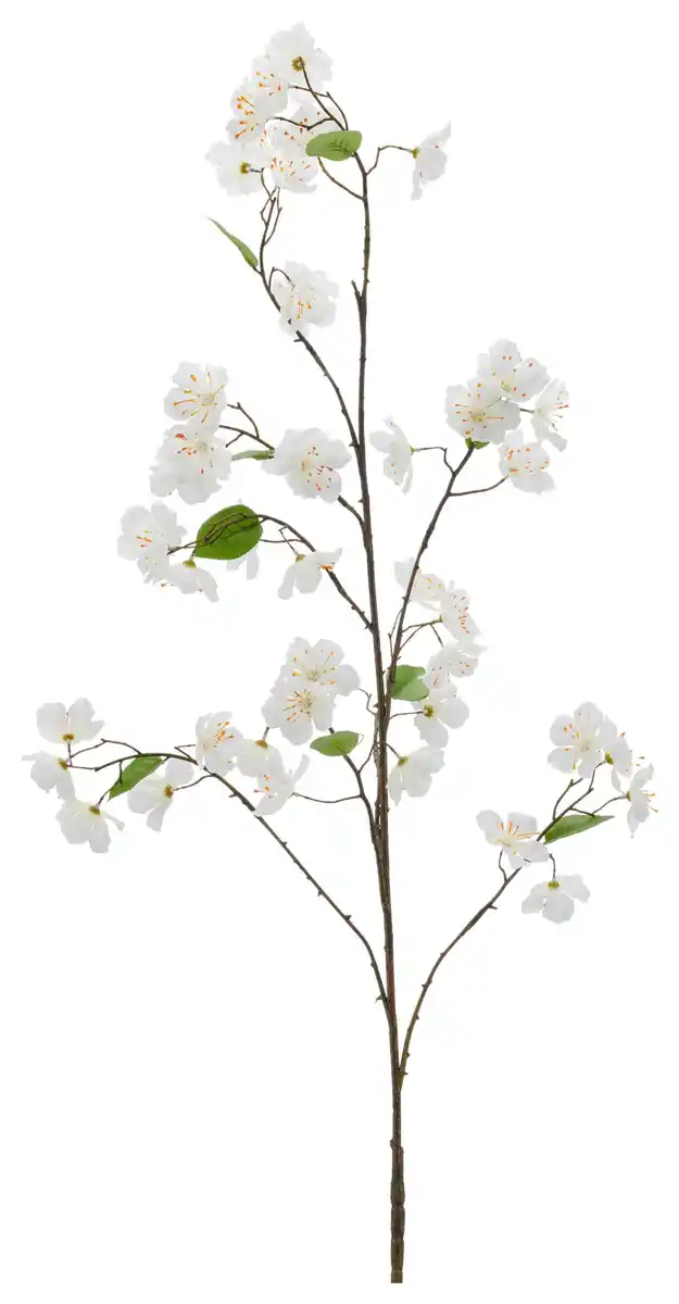 Bild 1 von Kirschblütenzweig Kirschblüte Weiß ca. 126cm, Weiß