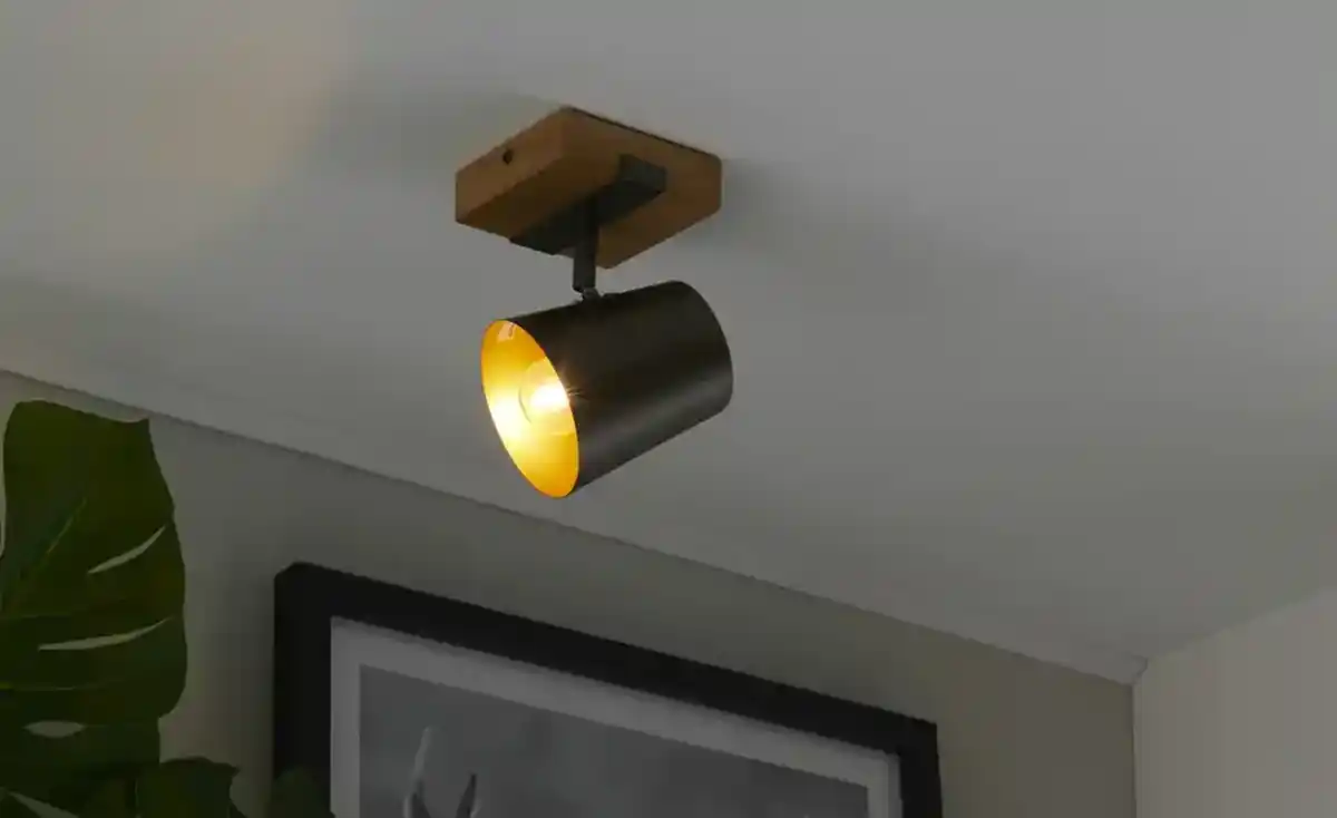 Bild 3 von Trio Wand-/Deckenstrahler 1-flammig, Nickel-antik Bell