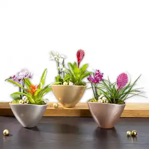 Exklusives Weihnachts-Arrangement