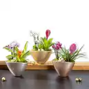 Bild 1 von Exklusives Weihnachts-Arrangement