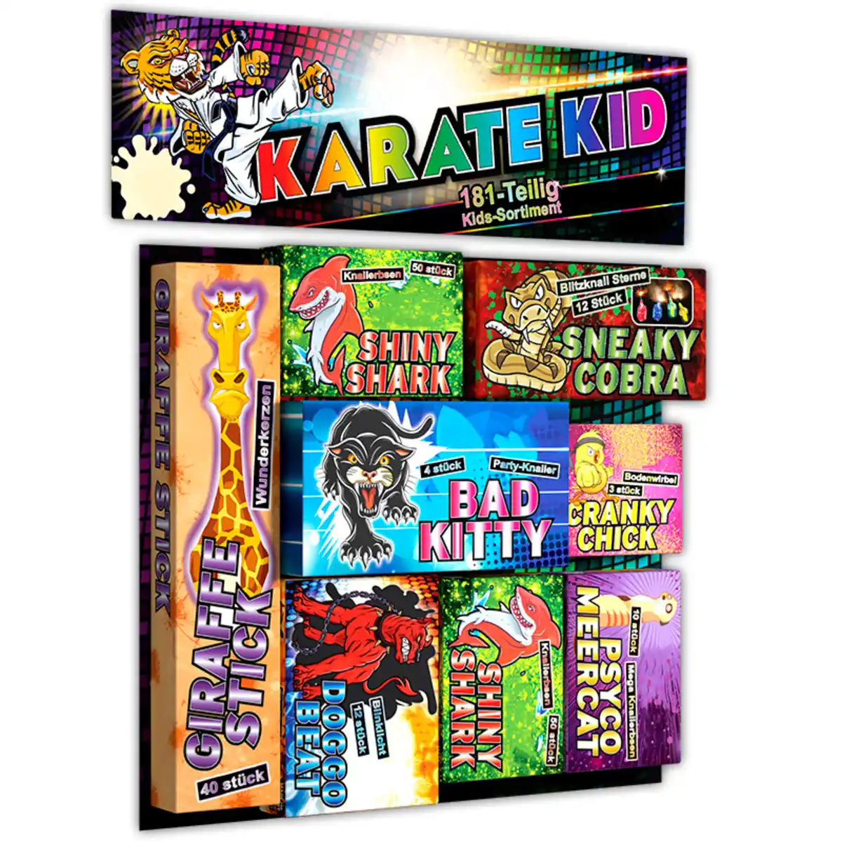 Bild 1 von Silvesterzauber Karate Kid