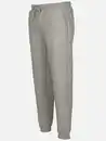 Bild 3 von Herren Jogginghose unifarben Grau