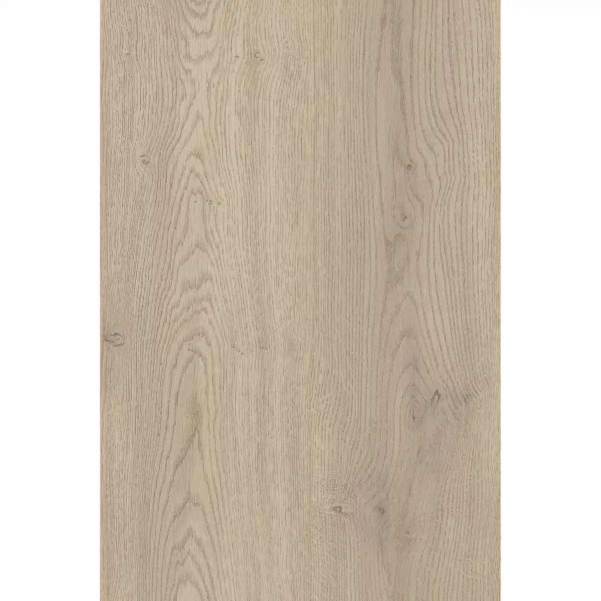 Bild 1 von Kronoflooring Laminat 'Premium' Eiche Cotta 8 mm