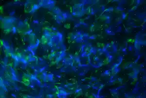 IDEENWELT Weltraumprojektor