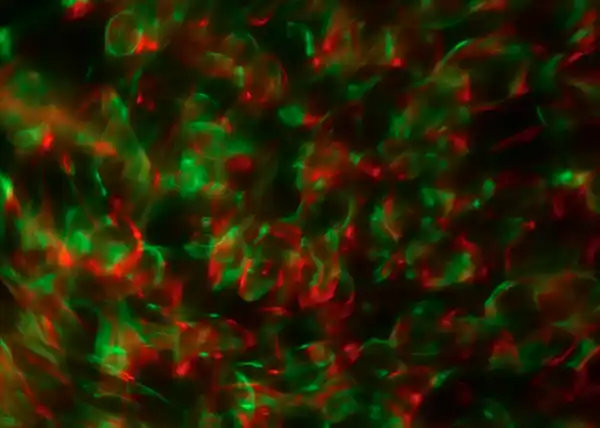 Bild 3 von IDEENWELT Weltraumprojektor