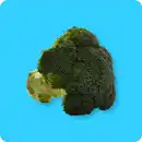 Bild 1 von   Brokkoli, Ursprung: Spanien