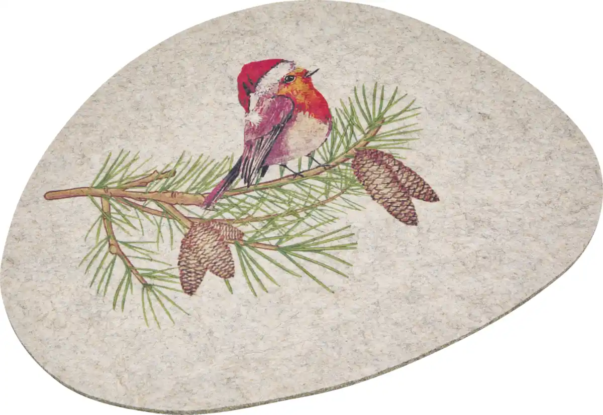 Bild 1 von IDEENWELT Filz-Set rund, Rotkehlchen