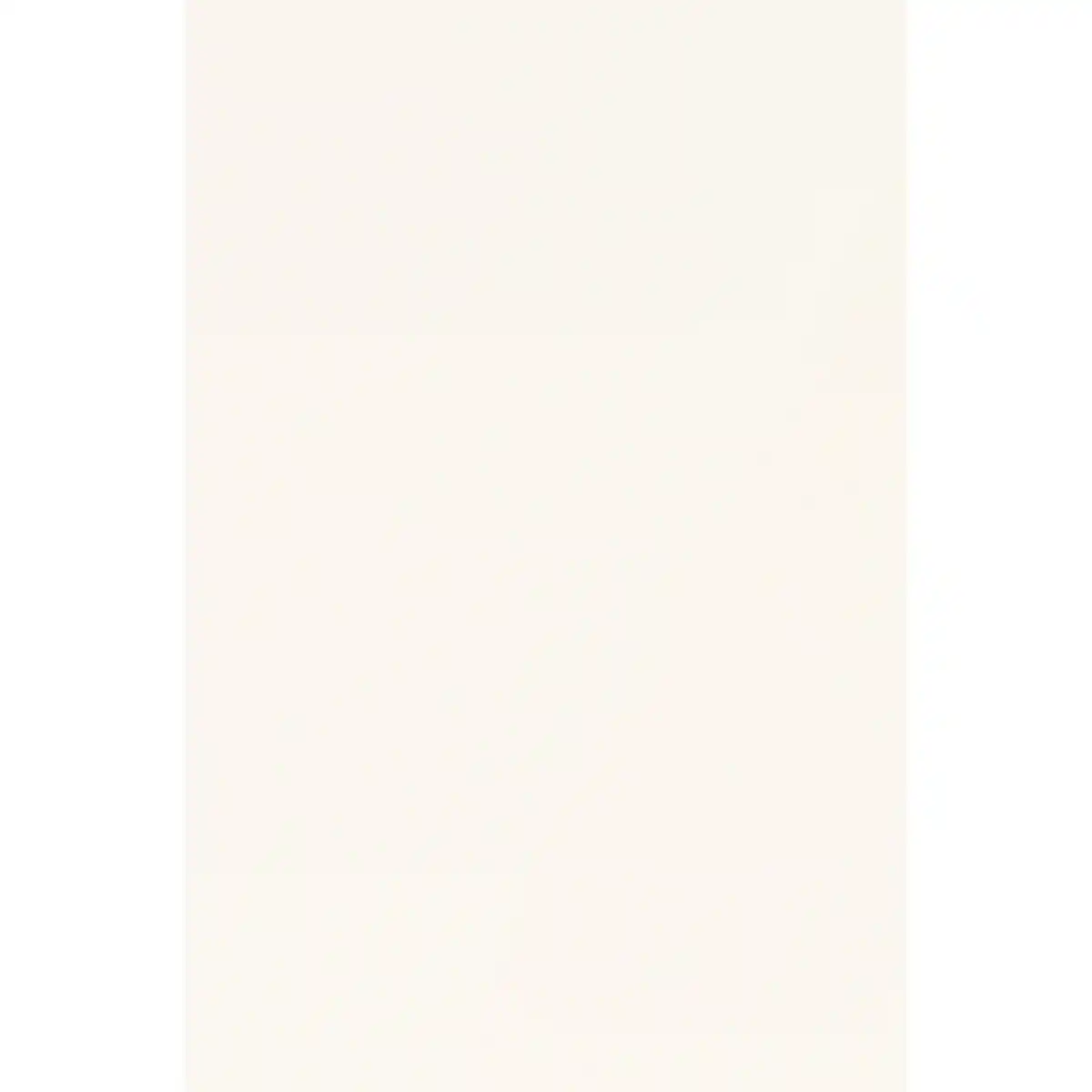 Bild 1 von Arbeitsplatte '1106' weiß 2600 x 600 x 28 mm