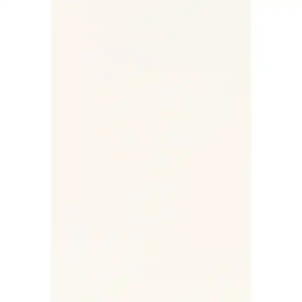 Bild 1 von Arbeitsplatte '1106' weiß 2600 x 600 x 28 mm