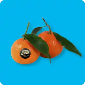 KLEINE SCHÄTZE Clementinen / Mandarinen, Ursprung: Spanien
