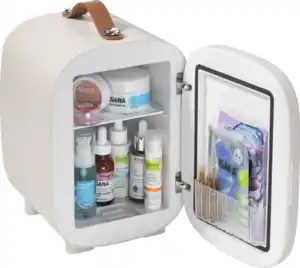 IDEENWELT Kosmetik-Kühlschrank 4L