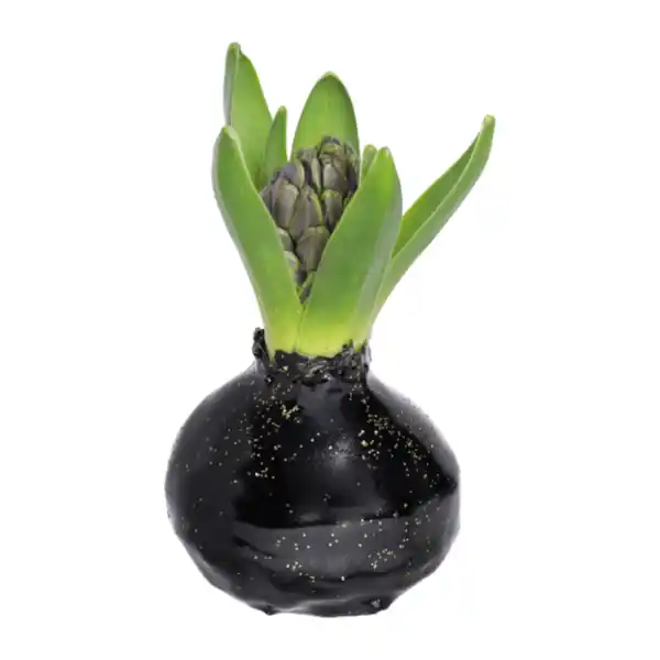 Bild 3 von GARDENLINE Hyazinthe, gewachst
