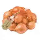 Bild 1 von GO Regio Zwiebeln