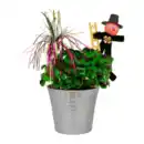 Bild 2 von GARDENLINE Glücksklee
