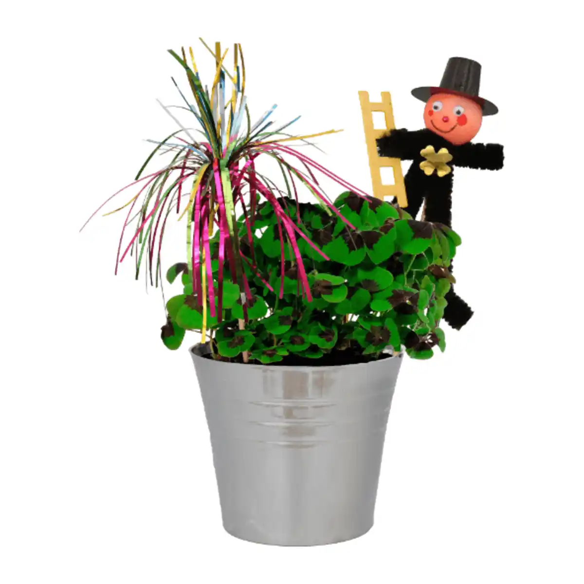 Bild 2 von GARDENLINE Glücksklee