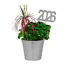 Bild 4 von GARDENLINE Glücksklee