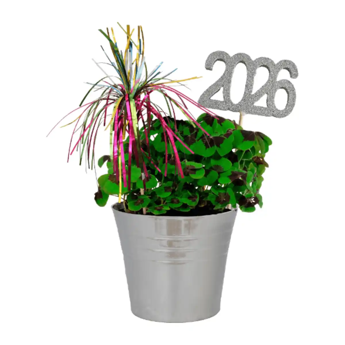 Bild 4 von GARDENLINE Glücksklee