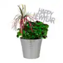 Bild 3 von GARDENLINE Glücksklee