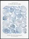 Bild 1 von Dekorieren & Einrichten Wandbild "Muscheln", blau/weiß (40x30x2,5 cm), 1 St