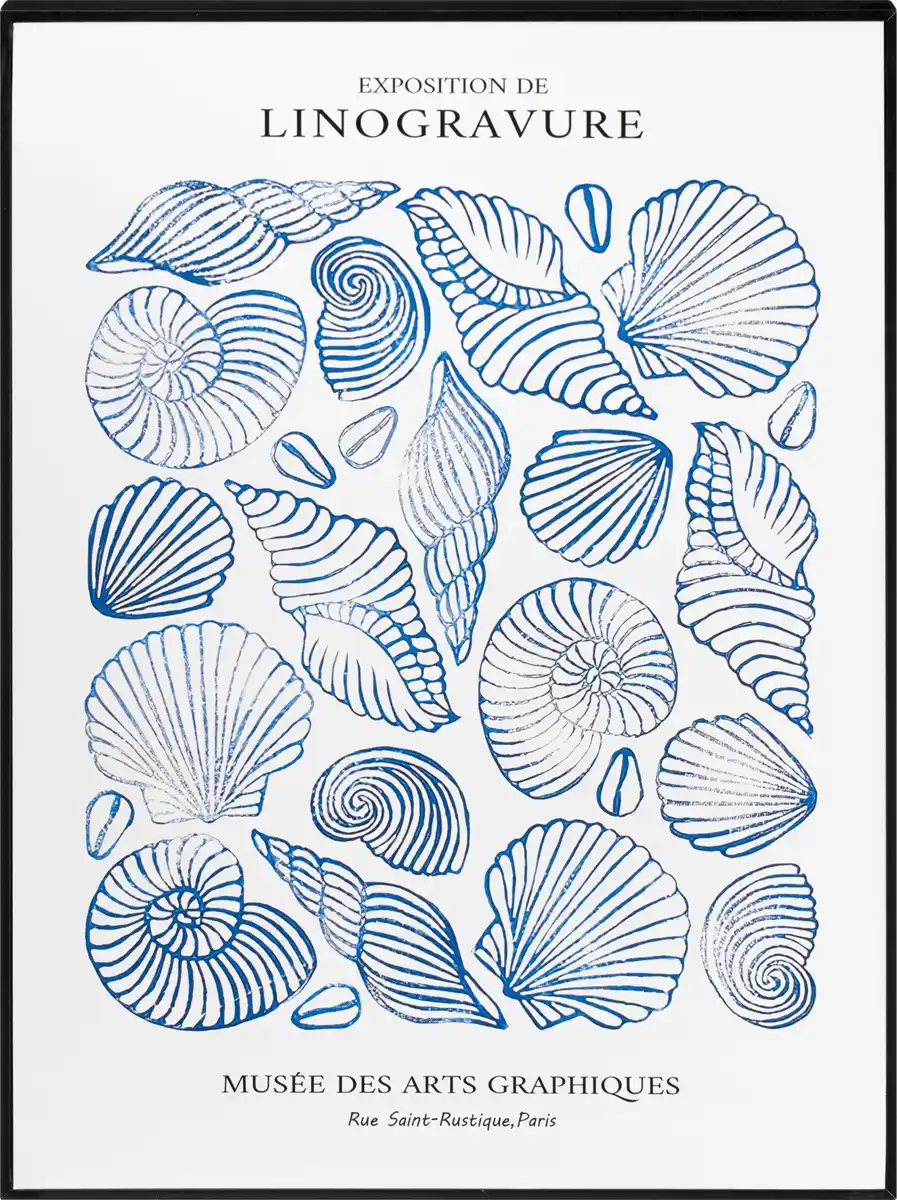 Bild 1 von Dekorieren & Einrichten Wandbild "Muscheln", blau/weiß (40x30x2,5 cm), 1 St