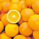 Bild 2 von Hans Glück Orangen