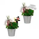 Bild 1 von GARDENLINE Glücksklee