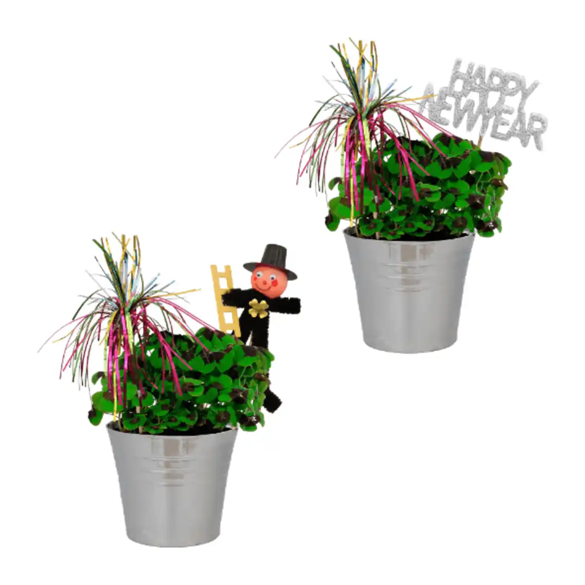 Bild 1 von GARDENLINE Glücksklee