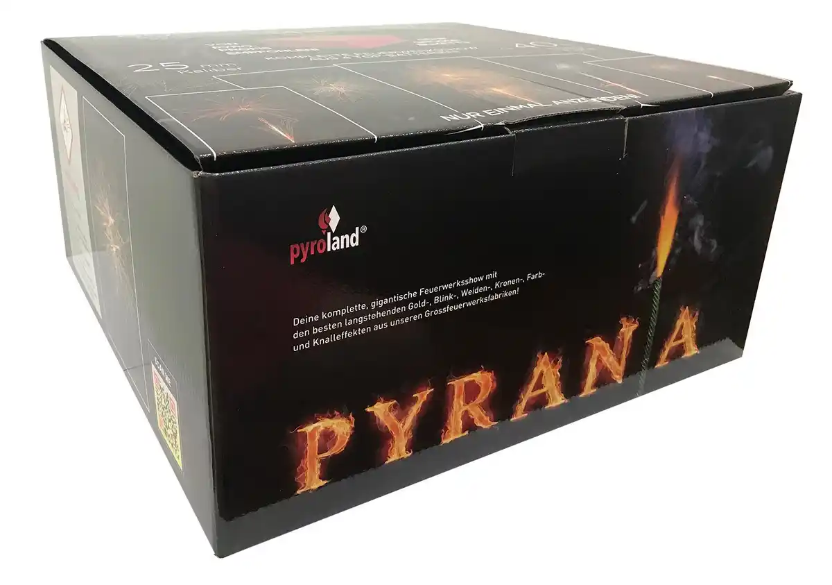 Bild 1 von 4er Batterieverbund „Pyrania“