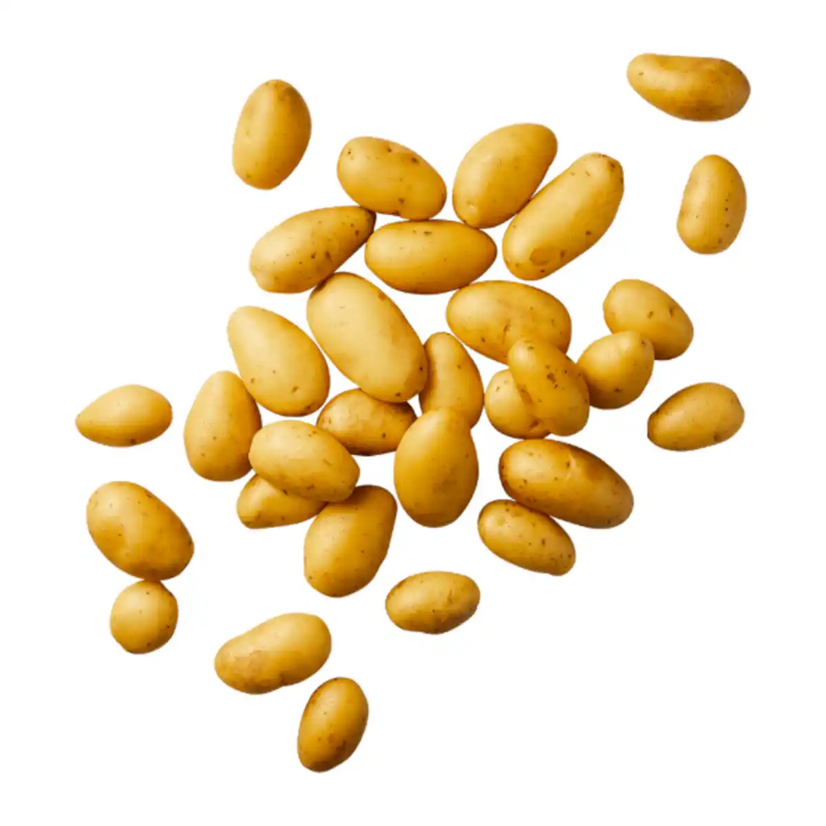 Bild 1 von Raclette-Kartoffeln 1,5kg