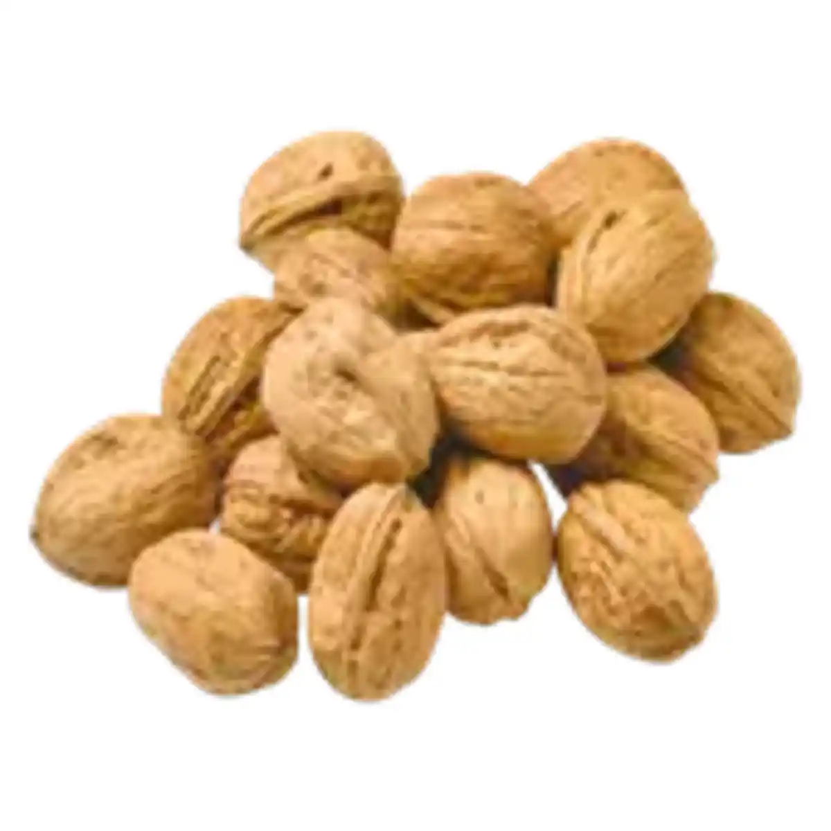 Bild 1 von Walnüsse