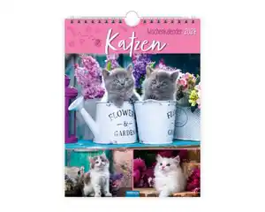 Kalender Katzen,Land Katzen, 19x25cm